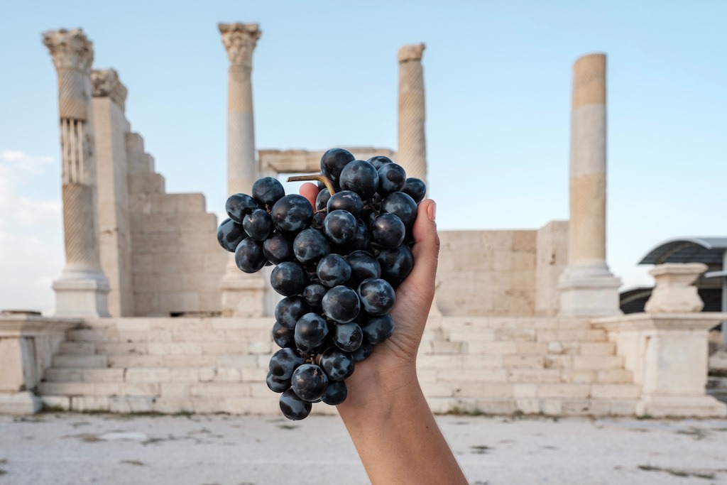 Denizli Üzümü
