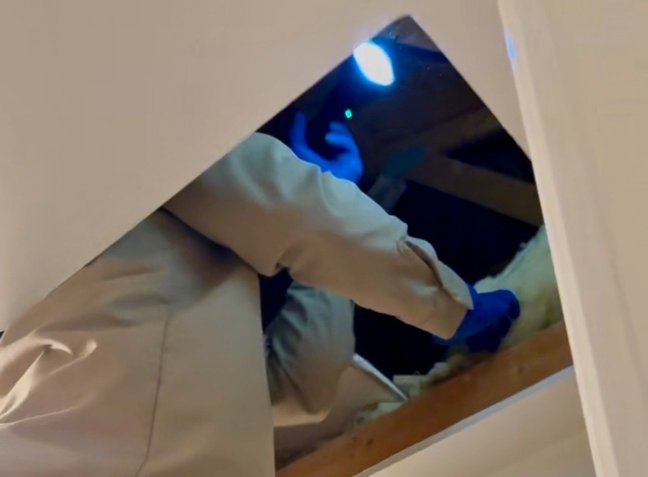 Rodent Pest Control attic inspection and trapping in Menifee Footprint Pest Management