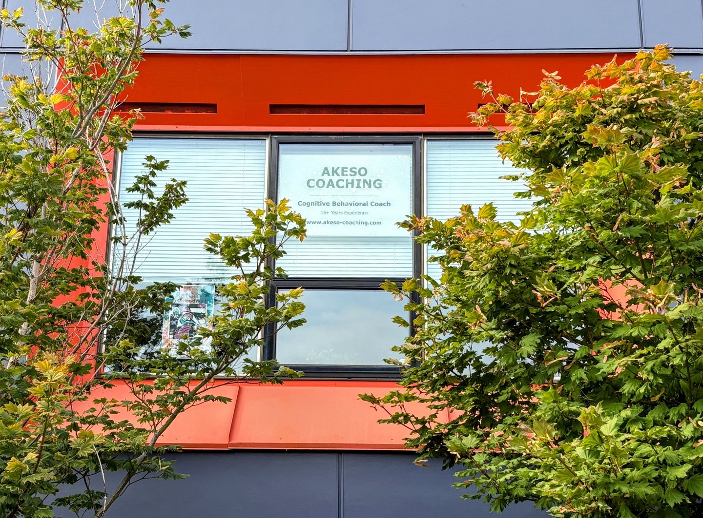 Outside view of windows framed by trees