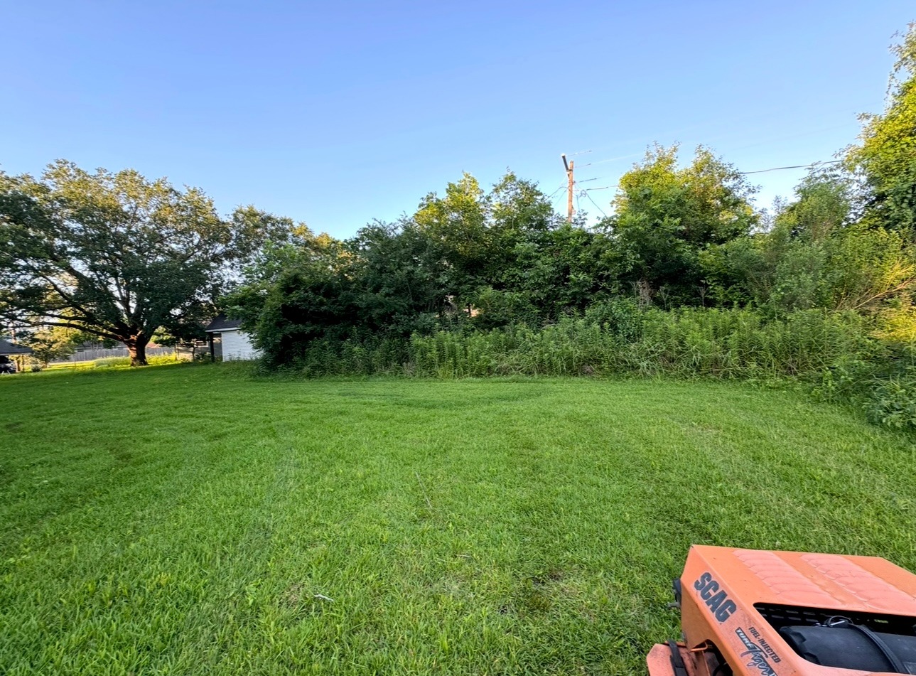 View from an orange Scag lawn mower on a lush green property with thick brush and trees.