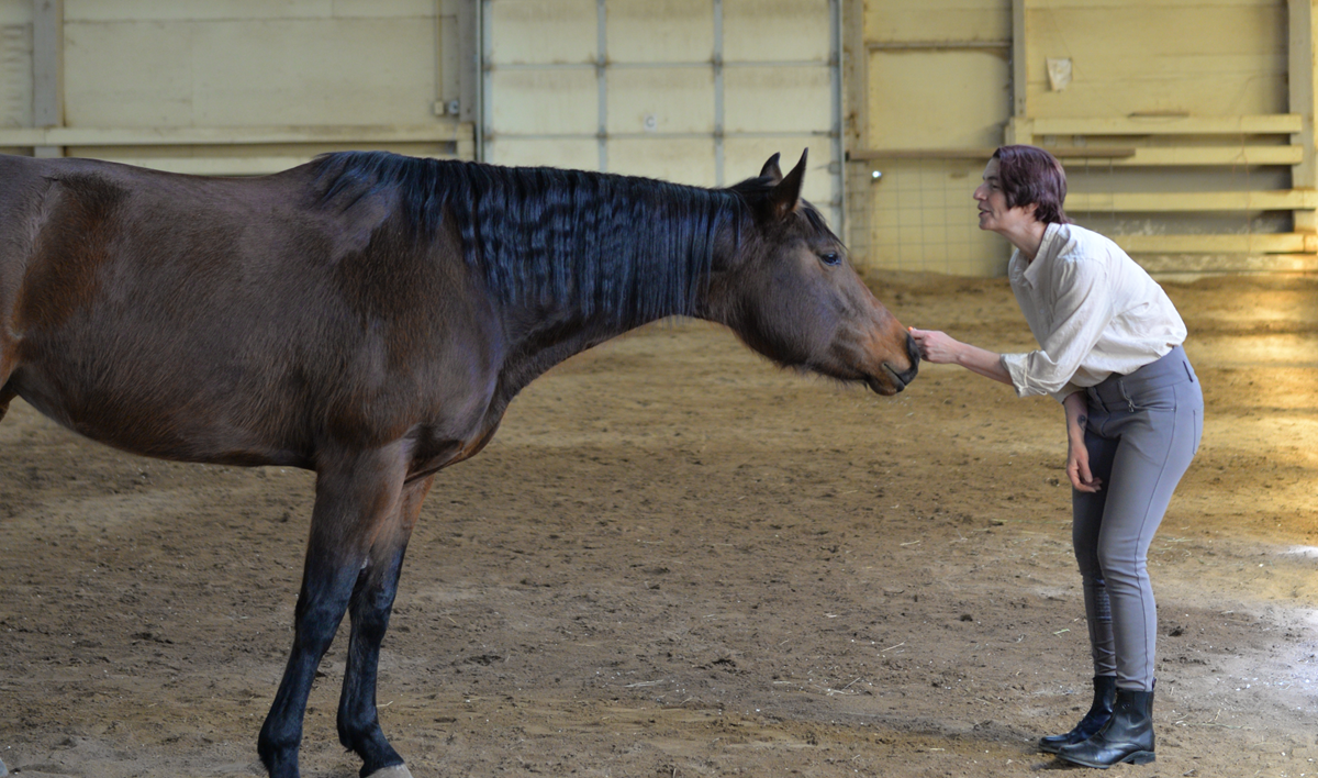 Tamarin horse with nose outstretched meeting Kassandra's hand. Photo Kaylyn B