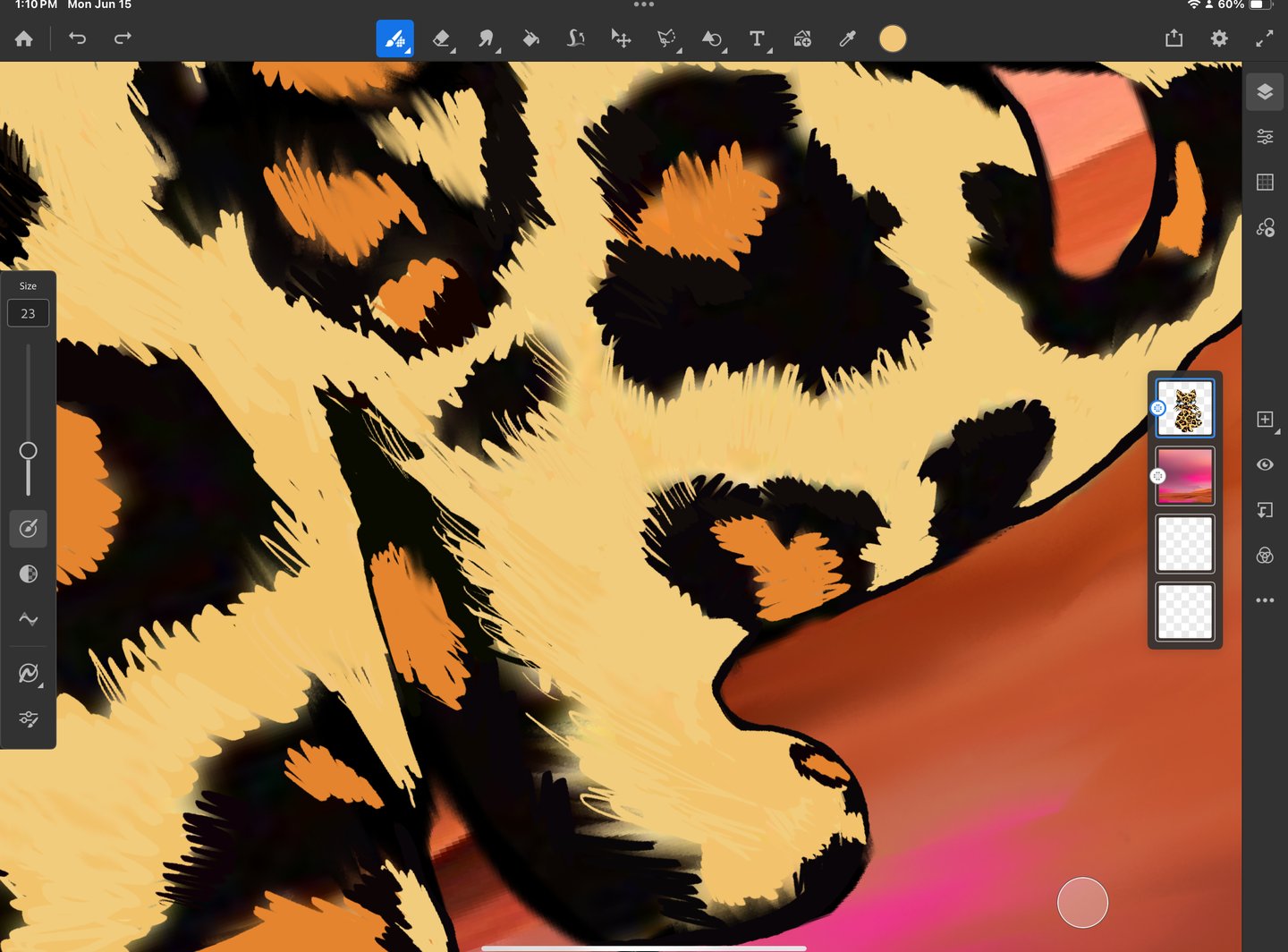 hawa cat detail Iad pro digital drawing