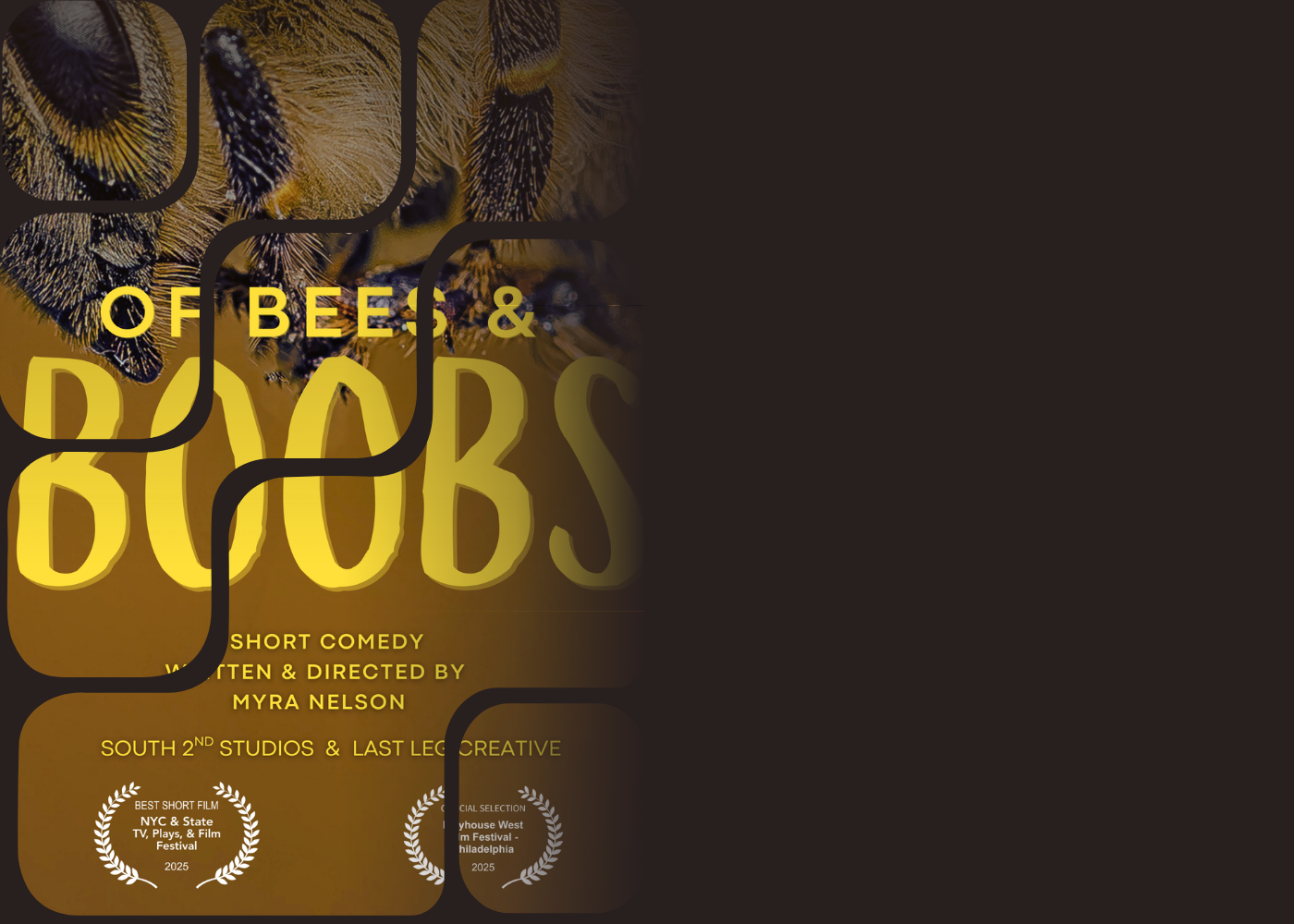 Of Bees And Boobs | Last Leg Creative | Sound Post-Production Studio