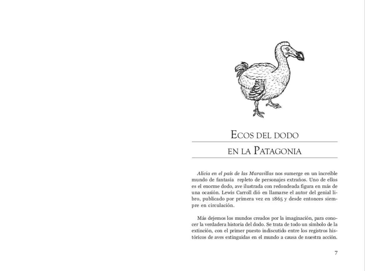 dodo patagónico