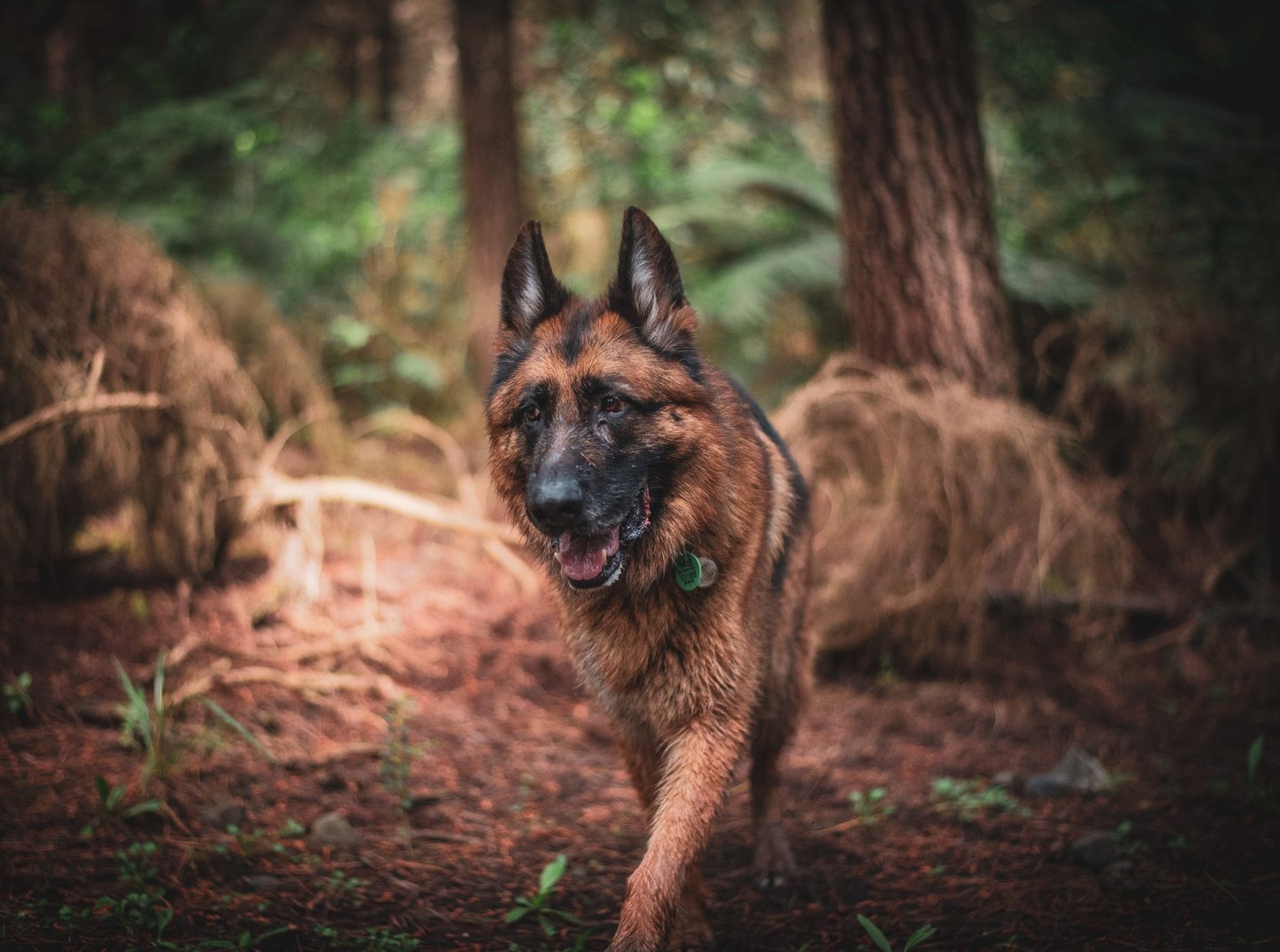 Recall Transformation