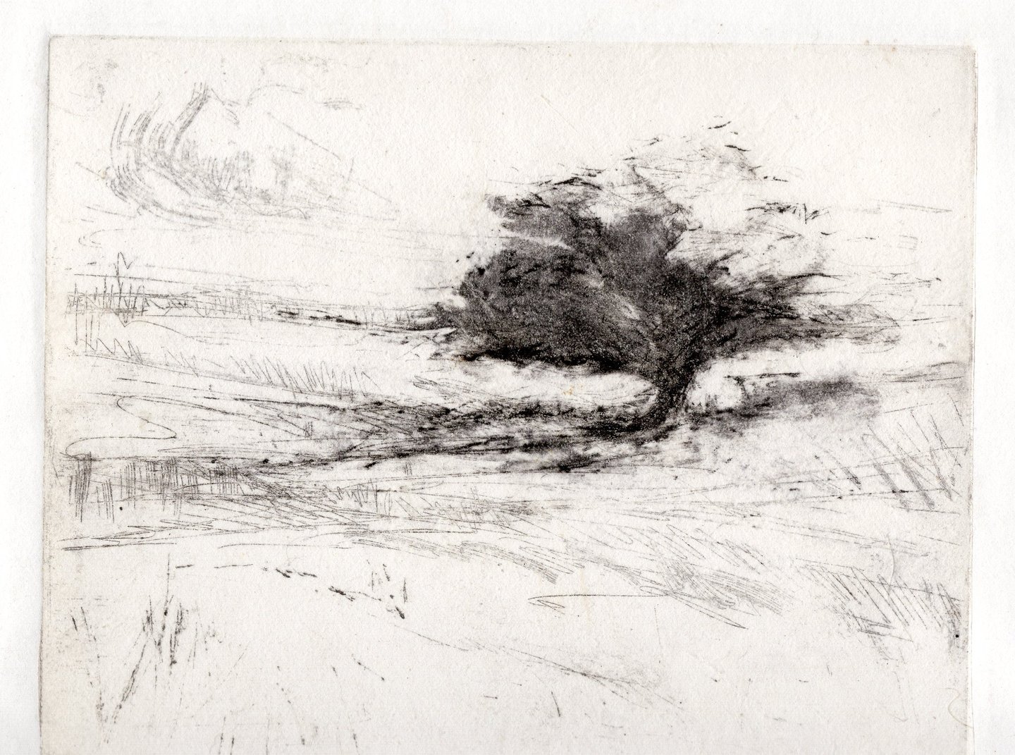 A vintage landscape monoprint of a lone tree in an open field.