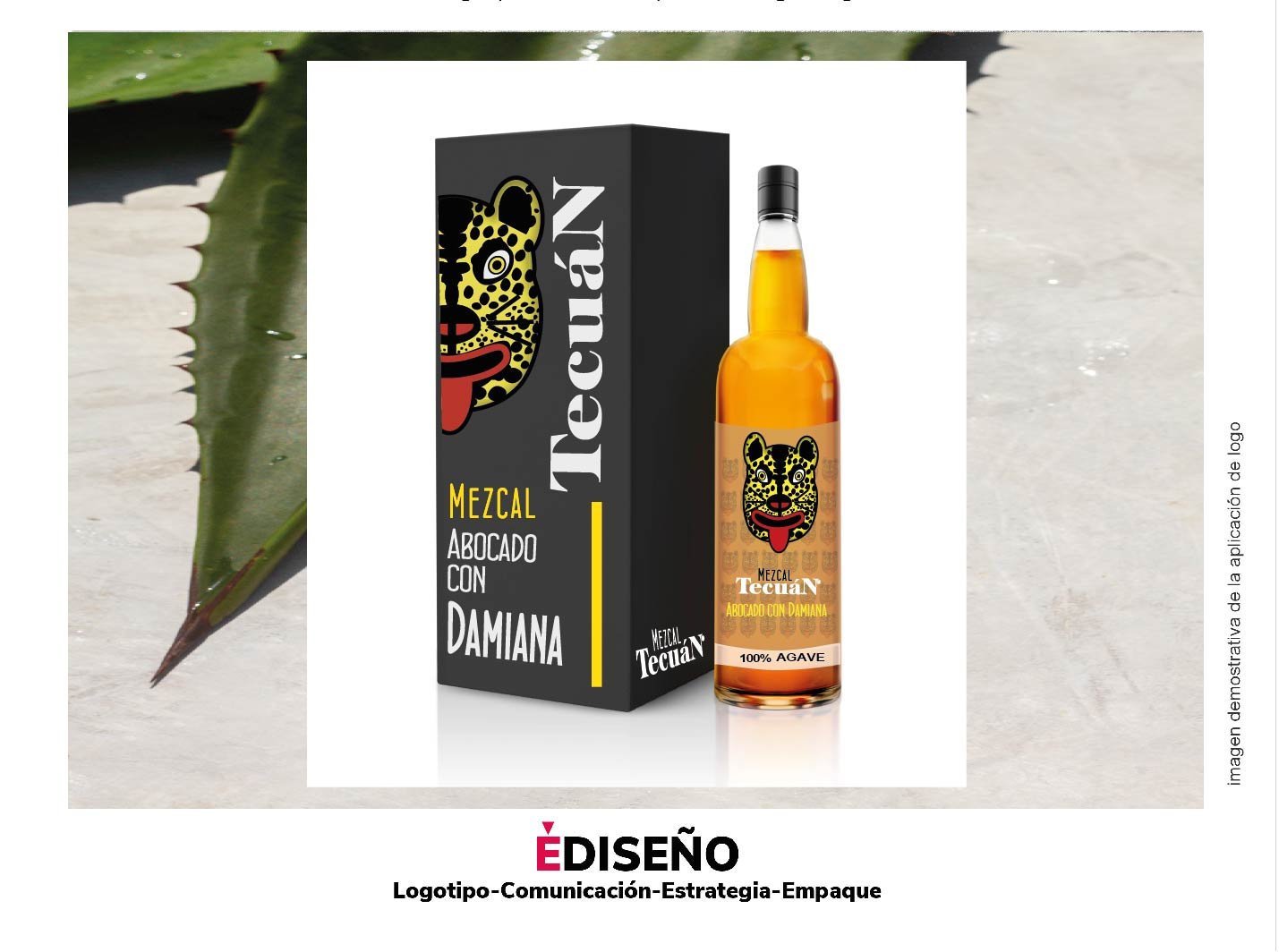 Un proyecto que no se concretó sin embargo se trabajo intensamente