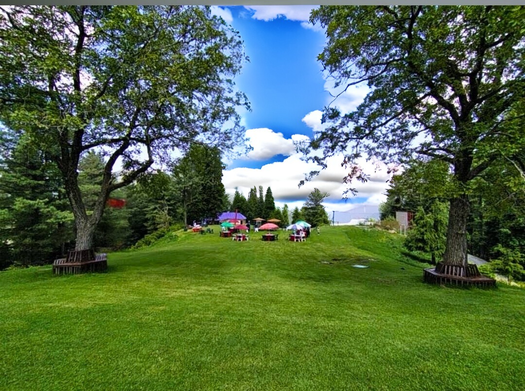 a grassy field with a few people walking around at Nathiagali 