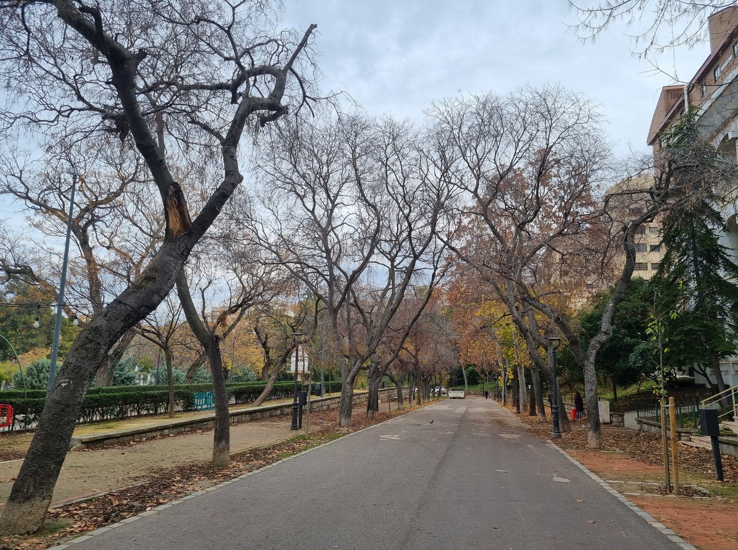 Jaen centro l Asociación de vecinos. Paseo de las Bicicletas en Parque de la Concordia. Victoria