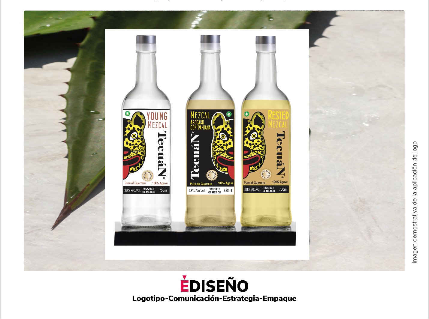 Un proyecto que no se concretó sin embargo se trabajo intensamente