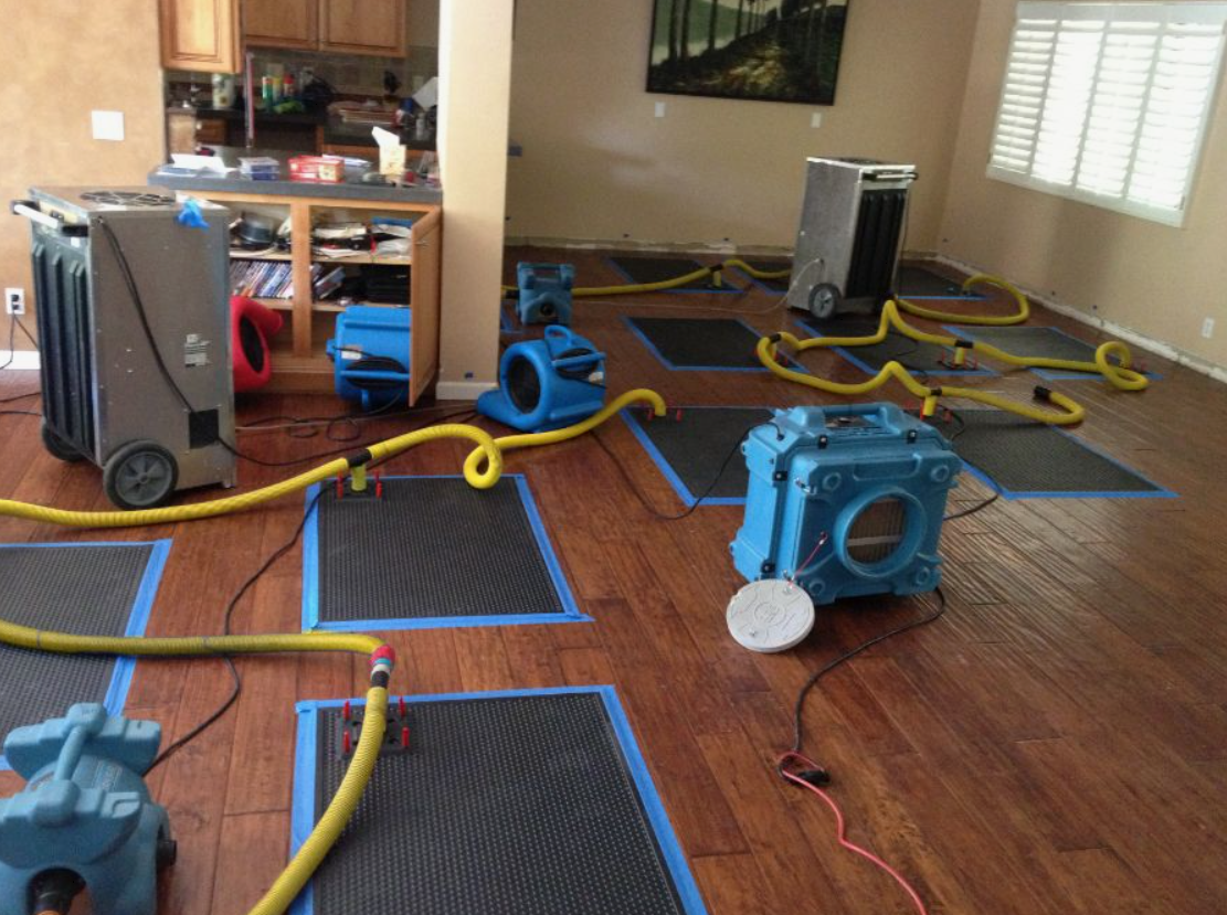 Air movers moving air, dehumidifiers removing water. Special water removing mats on the floors Lynnwood. 