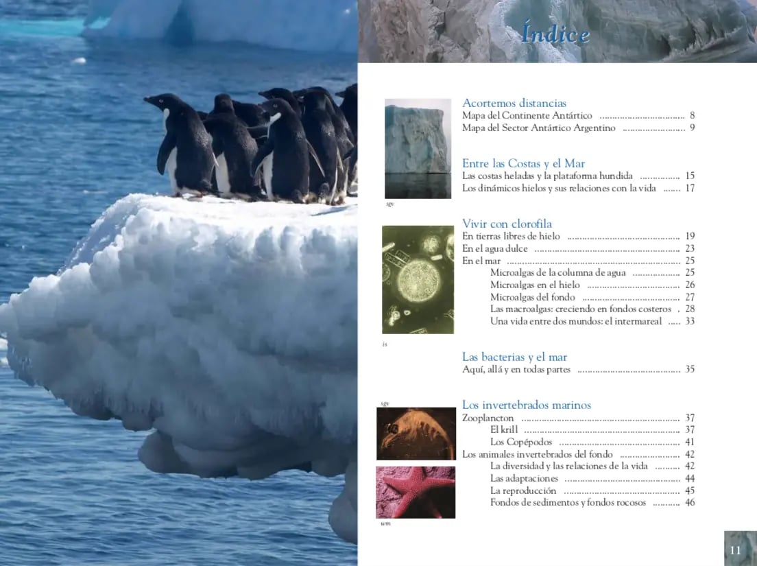 Península Antártica