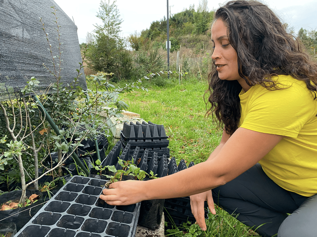 Equipo de EcoRumbo tomando árboles del vivero para trasplante en jornada comunitaria
