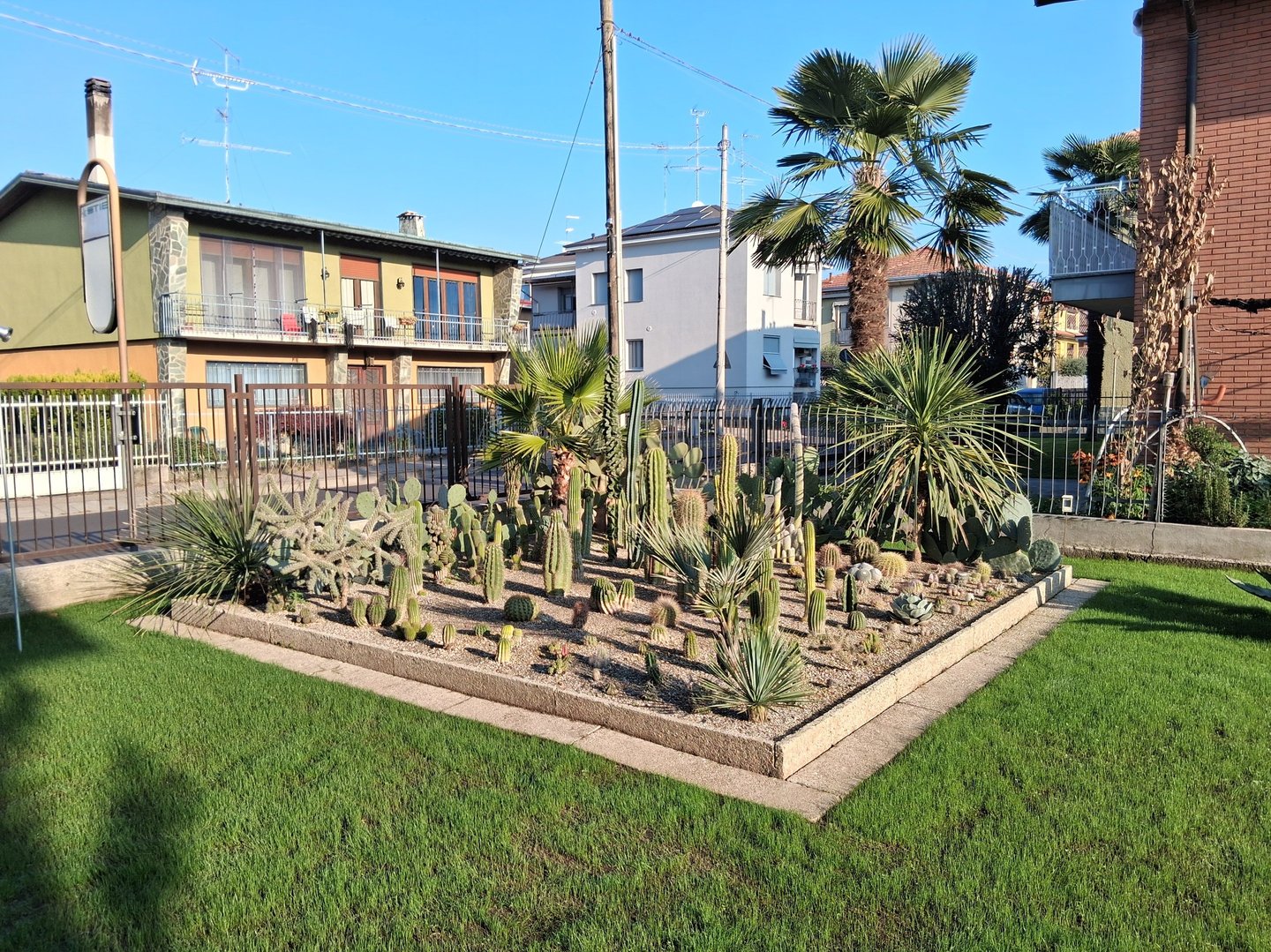 giardino esotico con cactus