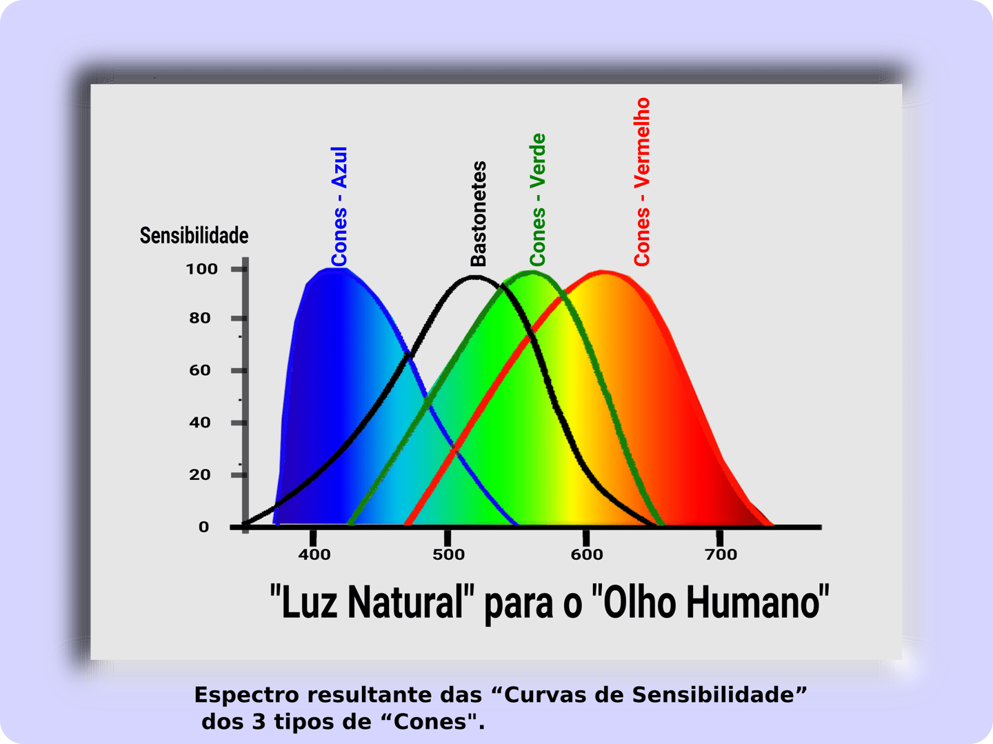 Espectro resultante das Curvas de Sensibilidade dos 3 tipos de Cones