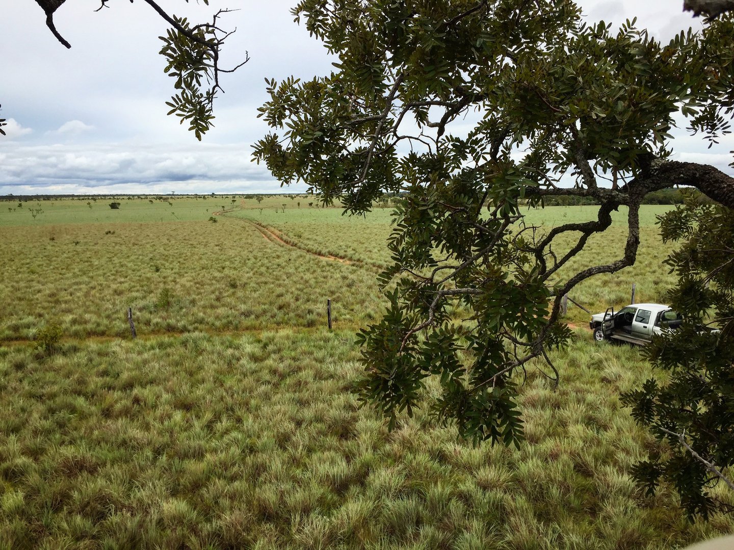 Land for reforestation in Colombia, Terra Forest