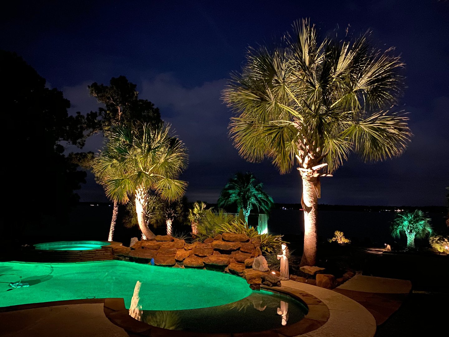 palm tree up lights at night