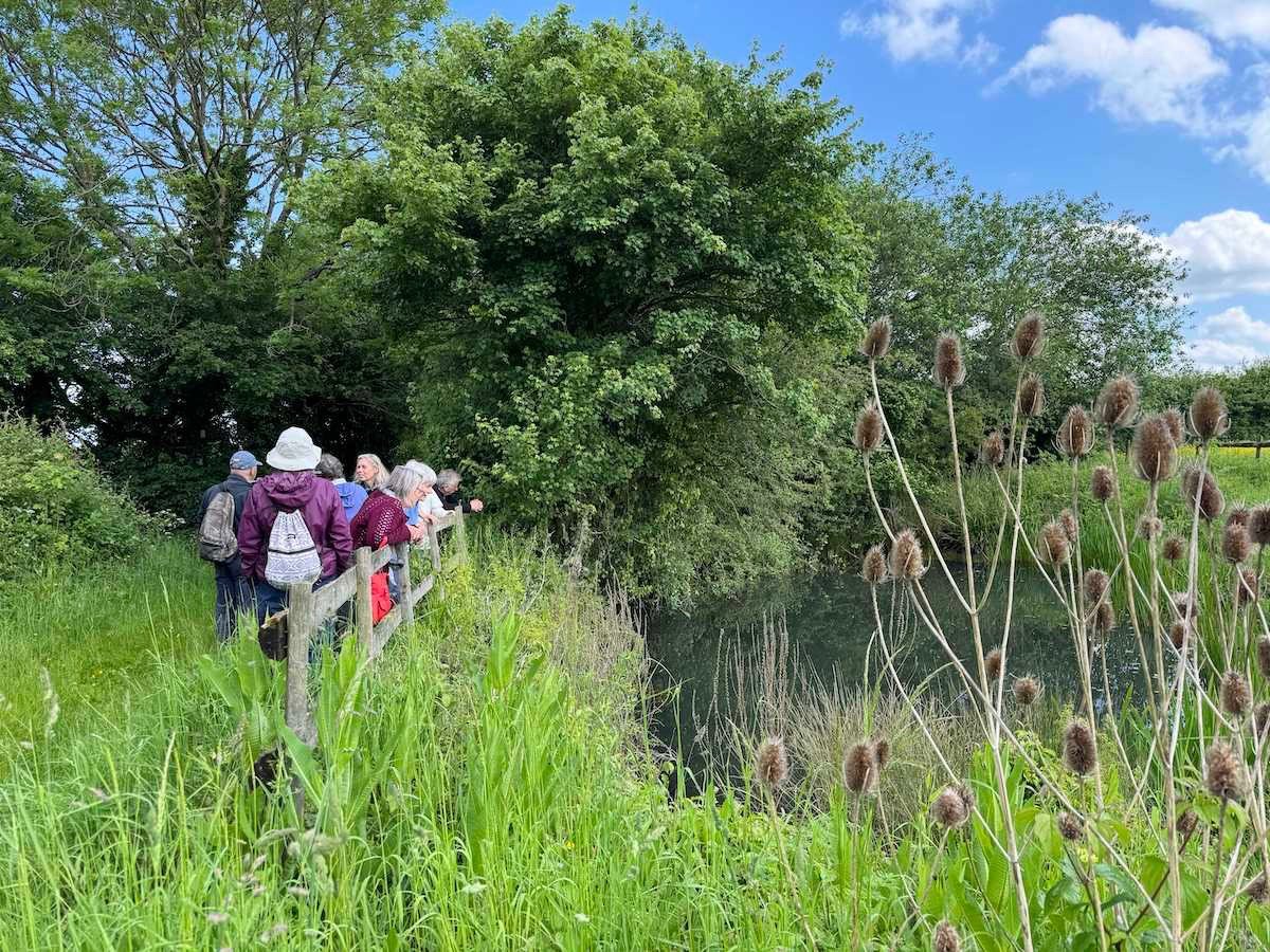 Field trip to Elm Farm, Burnett
