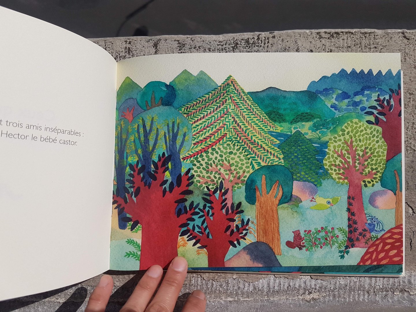 Album jeunesse aquarelle