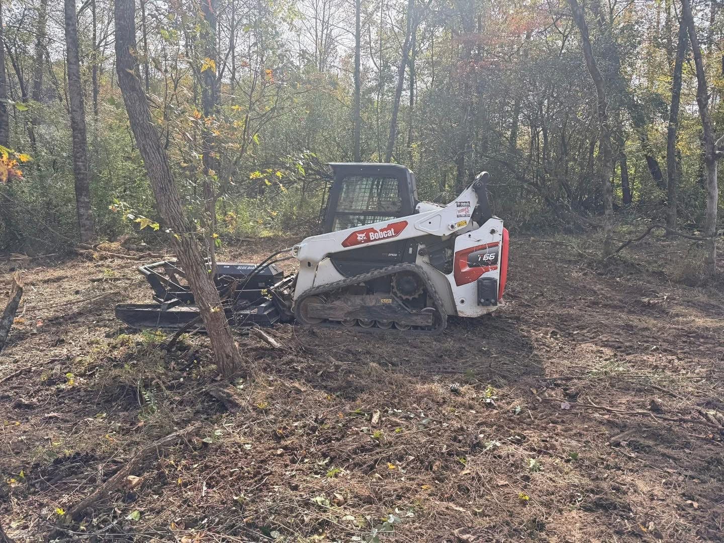 bobcat T66 clearing land