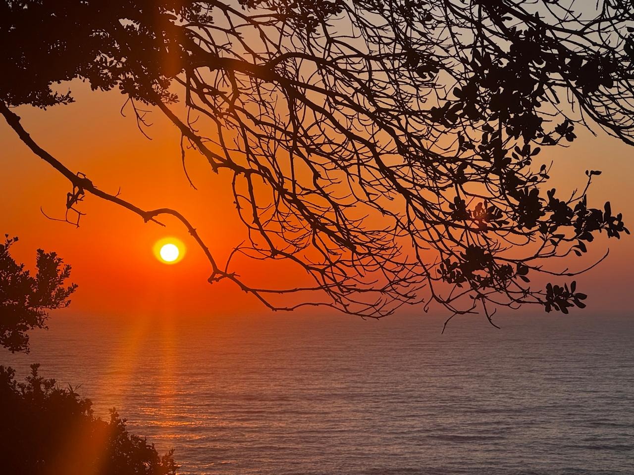 Sunrise view from Umdloti holiday apartment studio