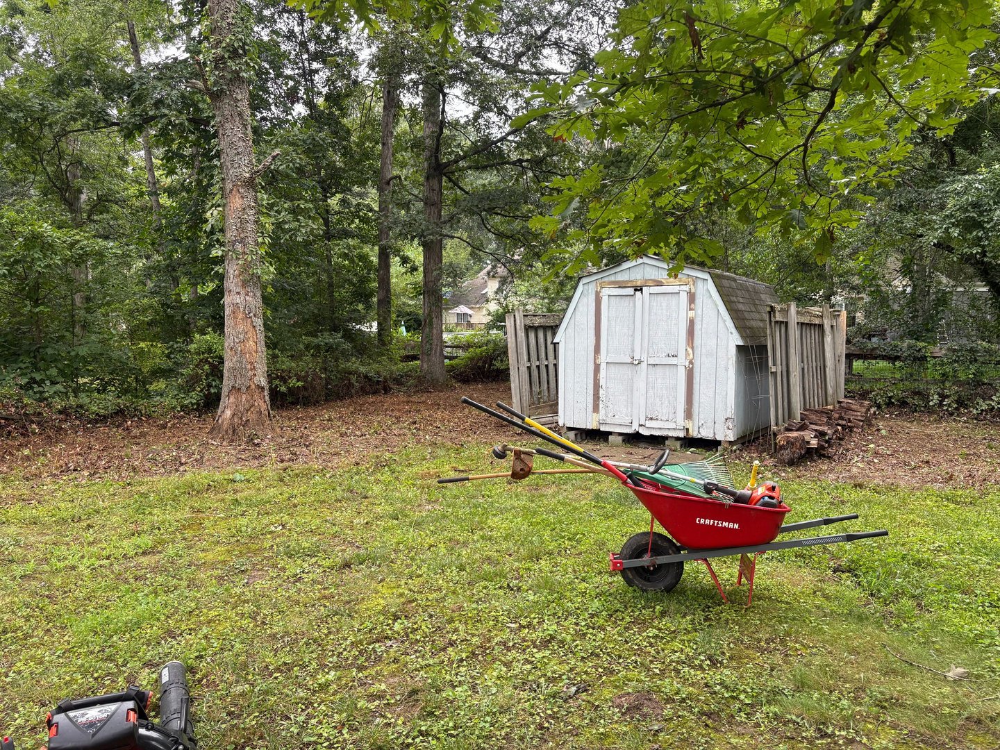Southern Maryland overgrowth removal services clearing brush, weeds, and tall grass to restore a res