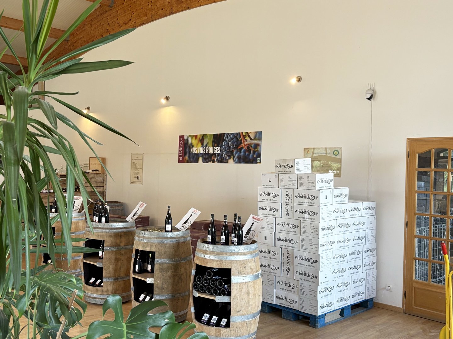 Vins rouges Touraine vins rouge Amboise Côt côt ri côt Malbec Pinot Noir Félix