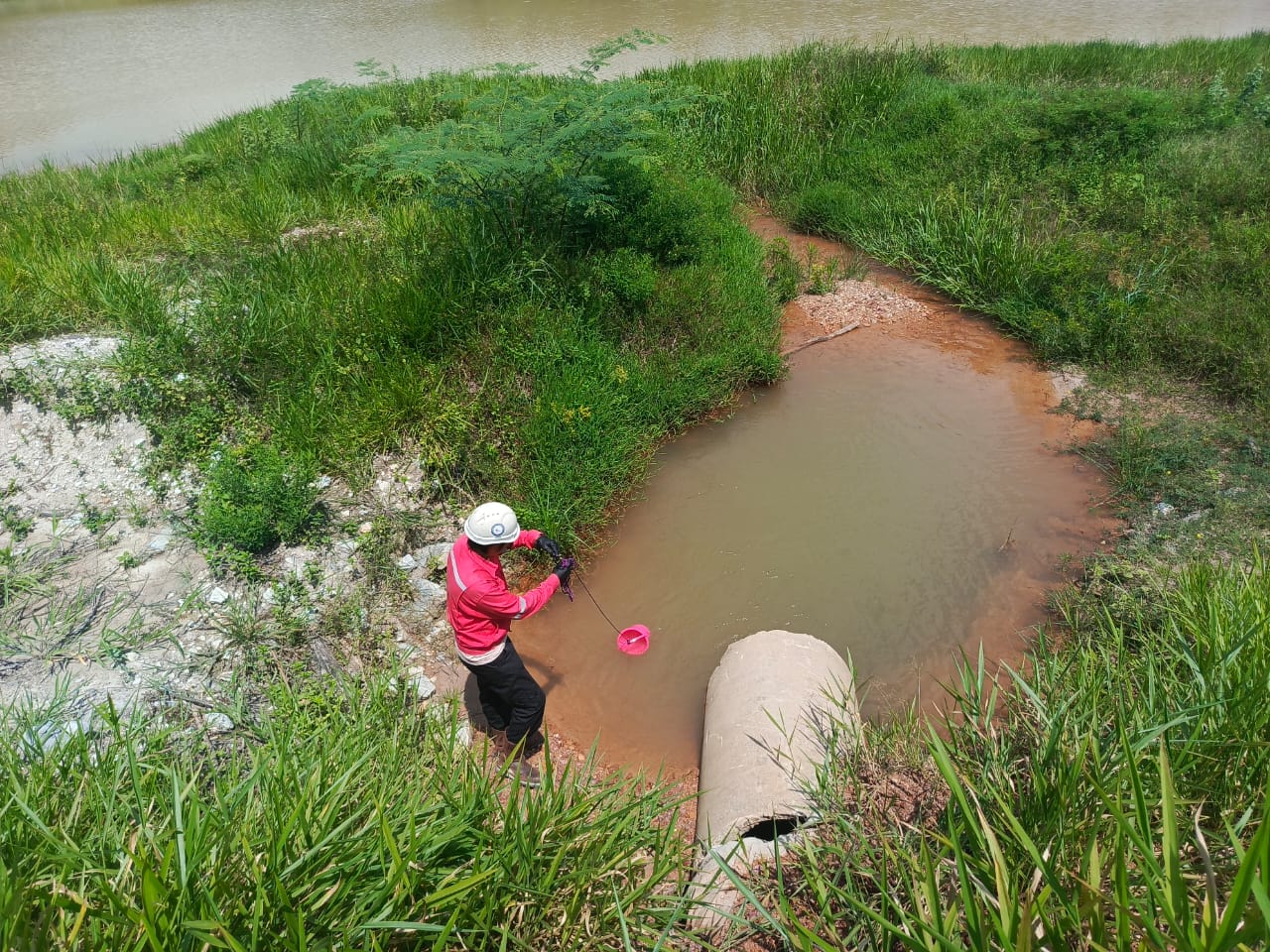 Water quality monitoring 