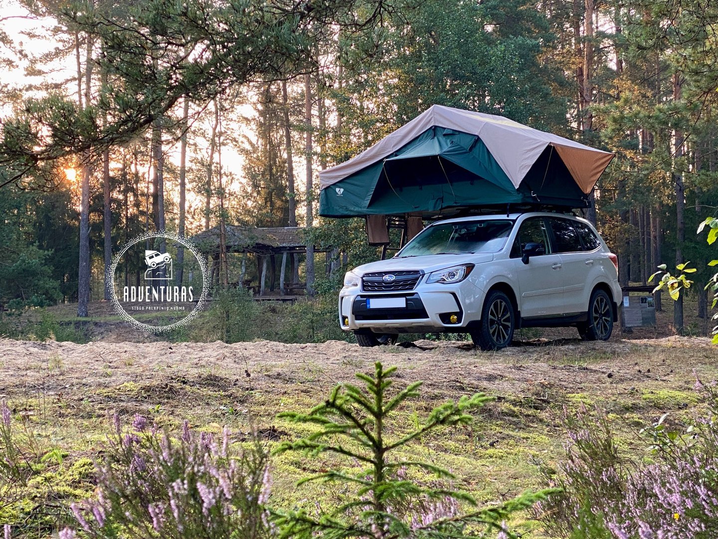 Big Willow palapine Subaru