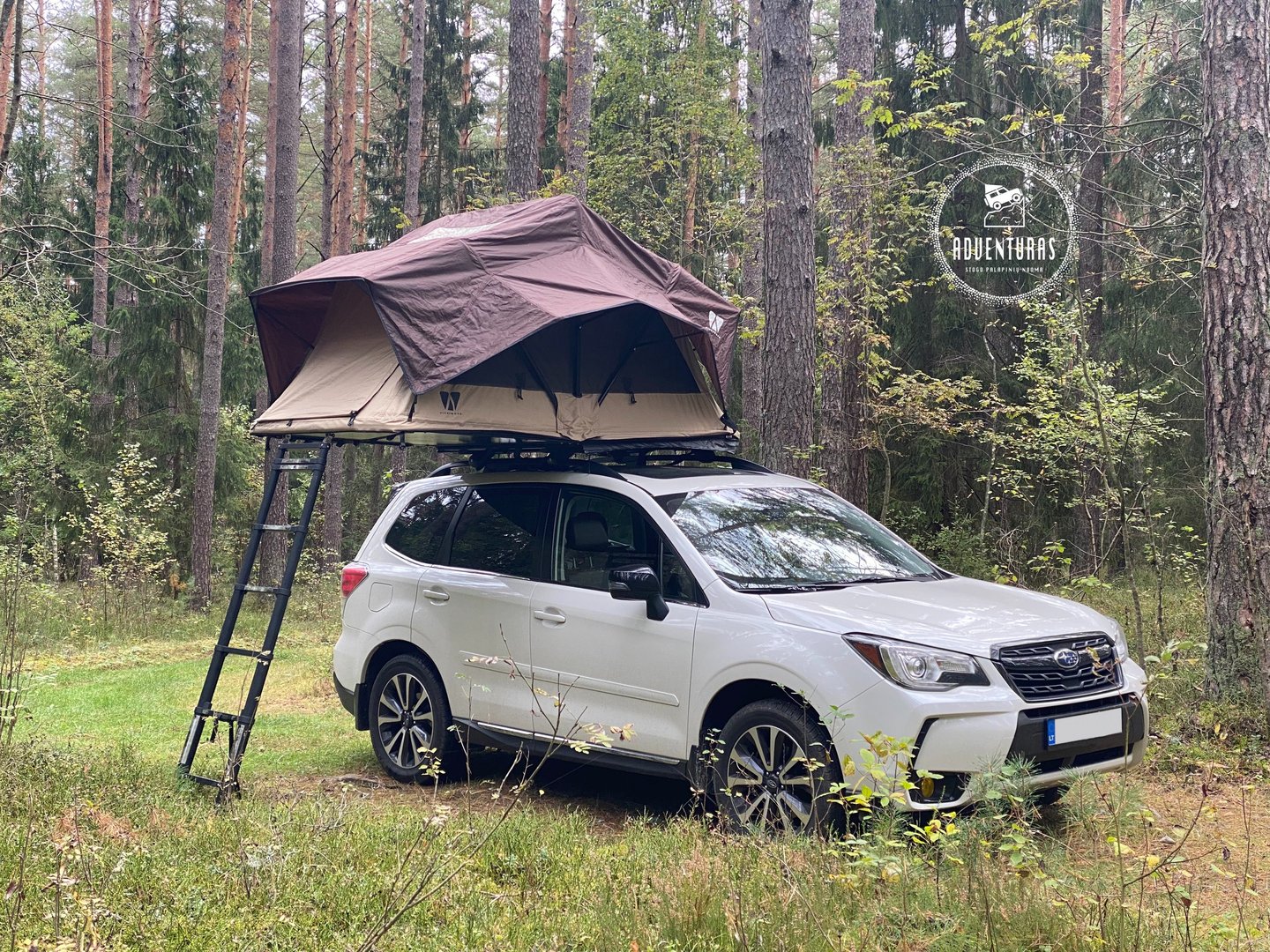 Little Bamboo palapine Subaru