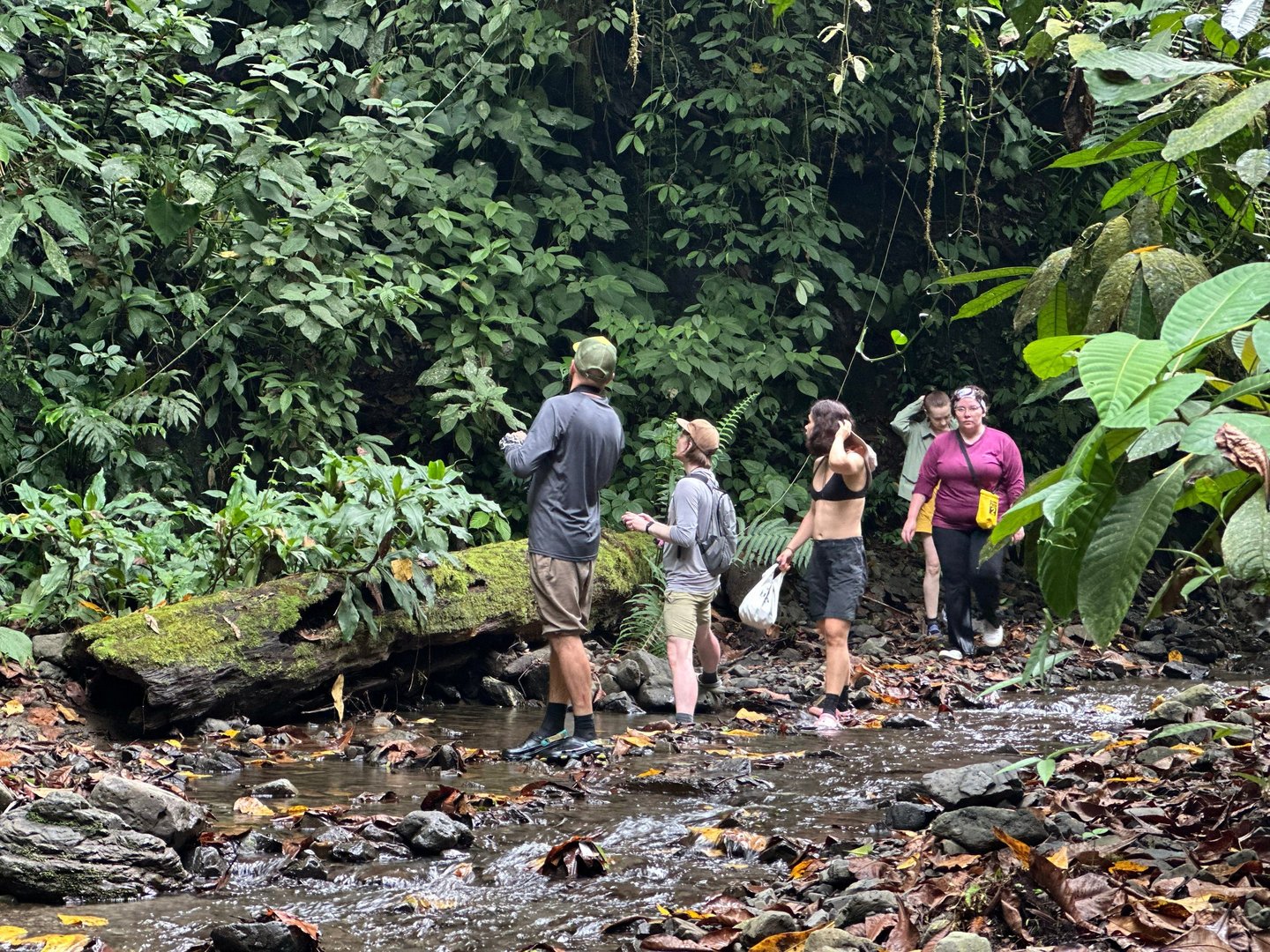 Bukit lawang trekking prices and durations