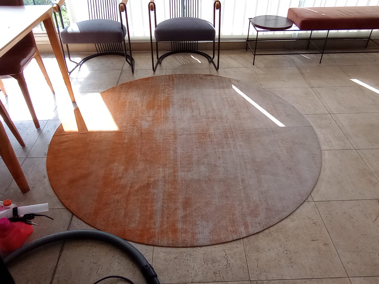 higienizacao-de-tapete-zona-oeste-sp