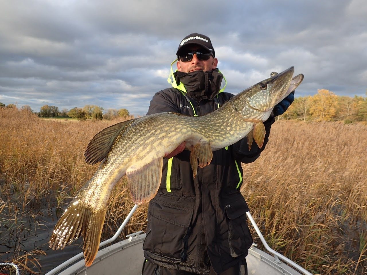 un pêcheur tient un gros brochet en suede