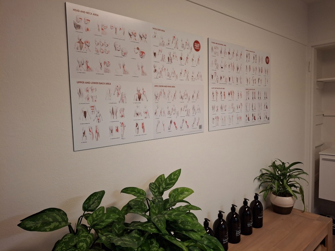 Triggerpoint massagetechnieken voor holistische, gerichte pijnverlichting