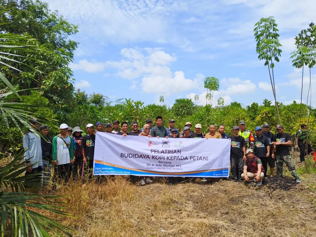 pelatihan budi daya kopi liberika dan robusta kepada petani sambas dan ambawang dengan dukungan dari PLN peduli dan Kolibro