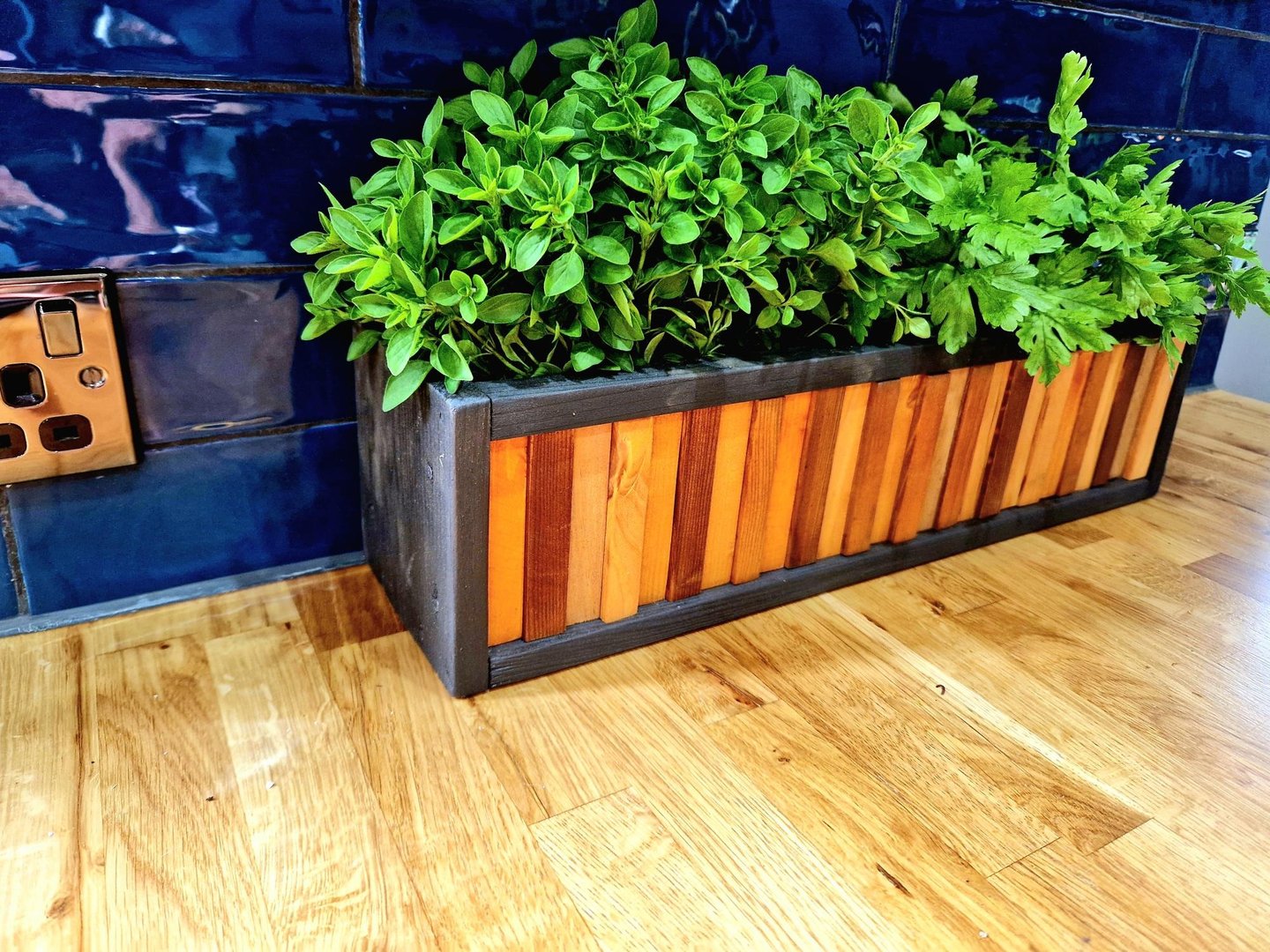 Herb planter DECORATIVE PLANTER POT HERB CATCUS CACTI SUCCULENT MINI GARDEN PLAN POT TIDY ORGANISER DESIGNER POT NARROW LONG 