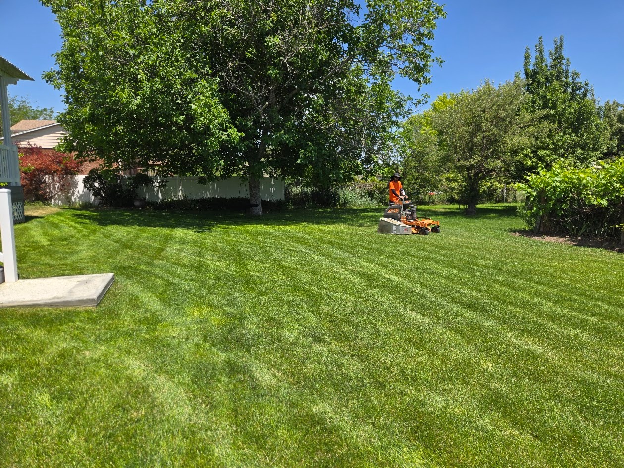 Lawn Maintenance company