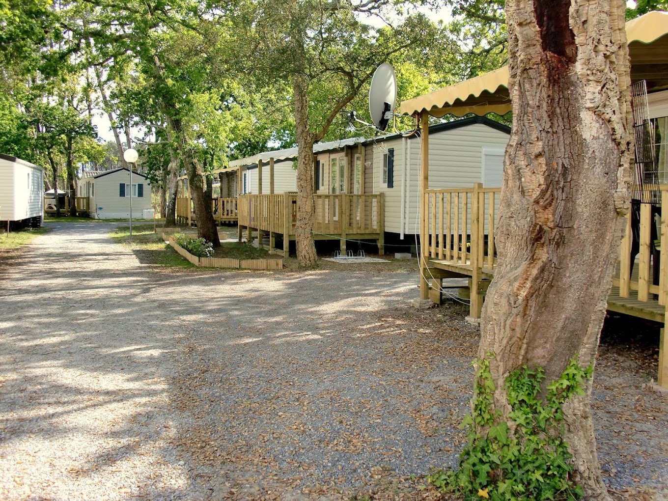 photo de Mobil-Home du camping les chênes dans les Landes