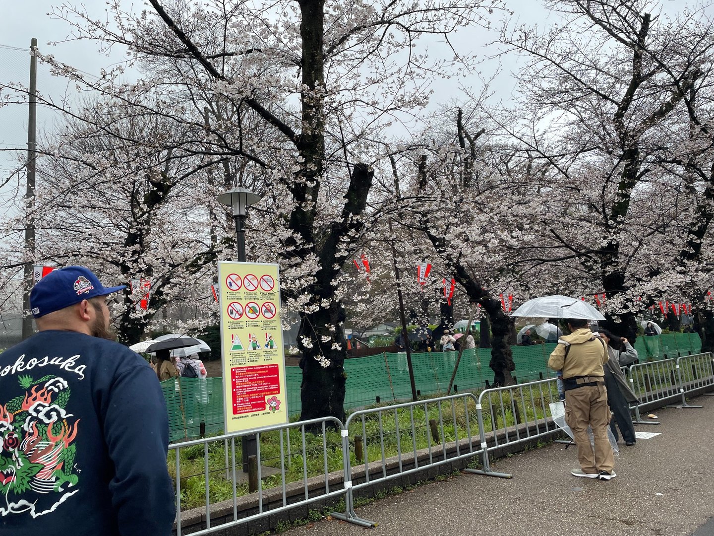 Asesoria en viajes. Tokyo, Japón. Semana de floración de cerezos (Sakura). Impresionante!l!