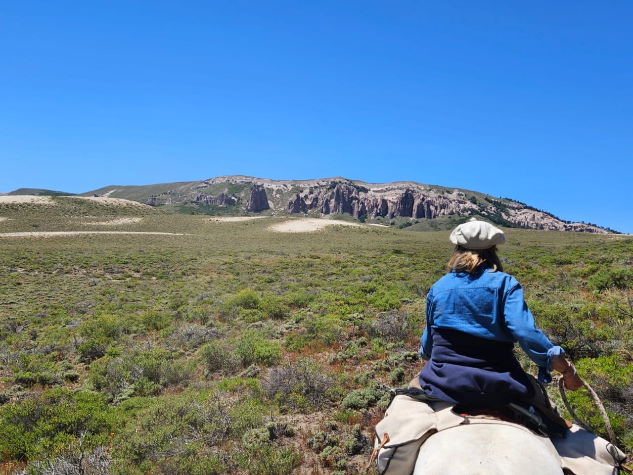 A person on horseback in a wide, open landscape with distant mountains.