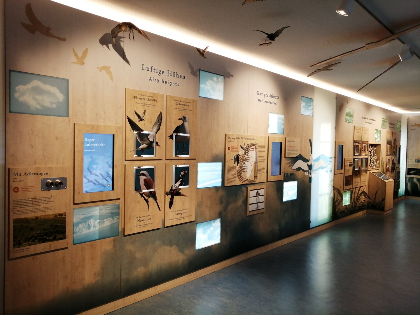 Ausstellung Nationalparkhaus Hiddensee