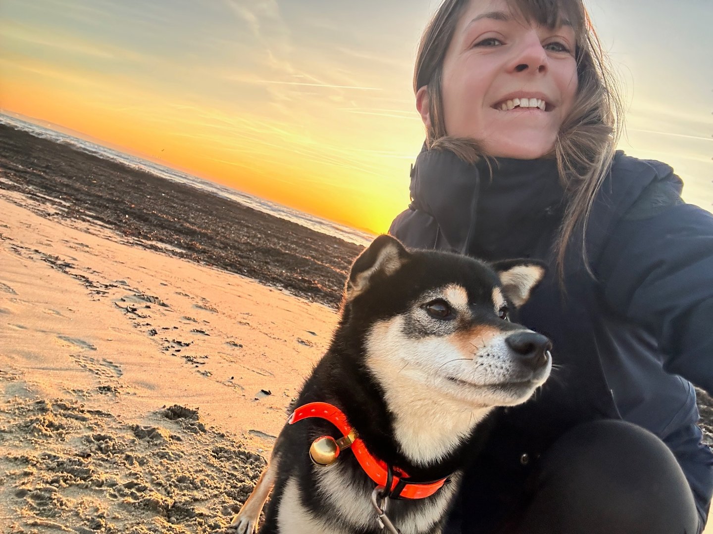 Solène communication animale loki et compagnie