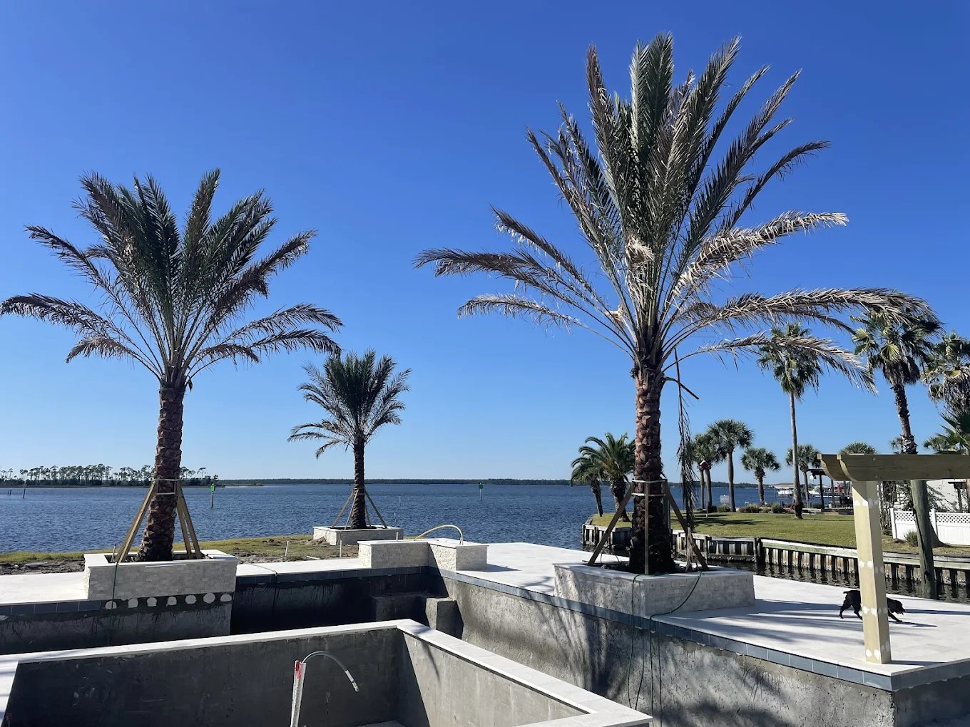 Luxury swimming pool under construction featuring tall palm trees and a scenic waterfront view.