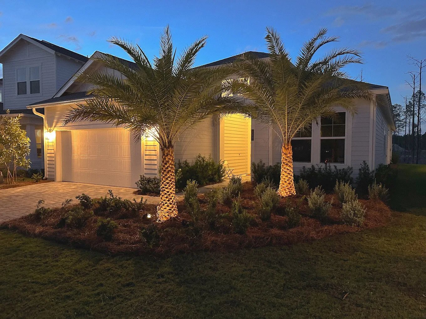 palm installation service in seaside home