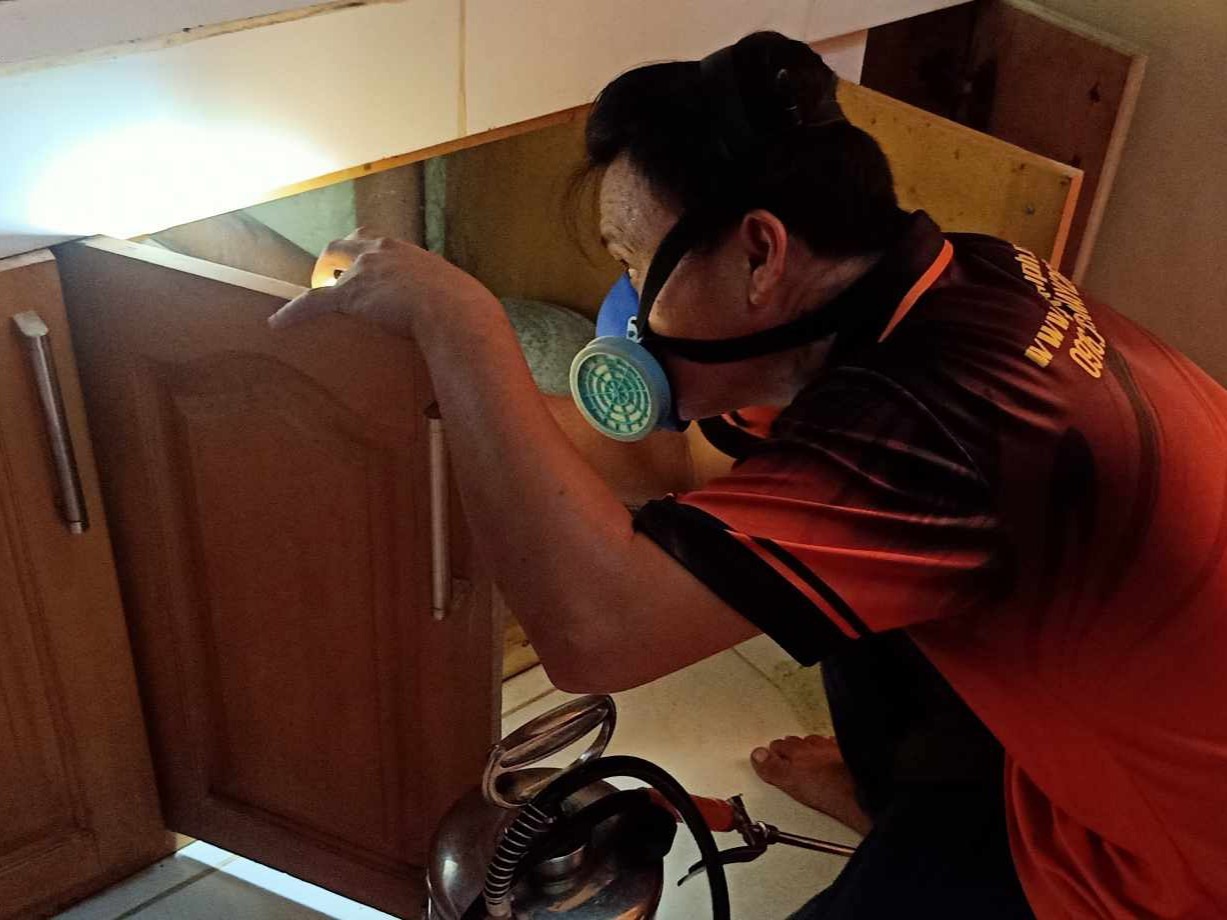 Professional exterminator wearing a respirator mask performing pest control under a kitchen cabinet.