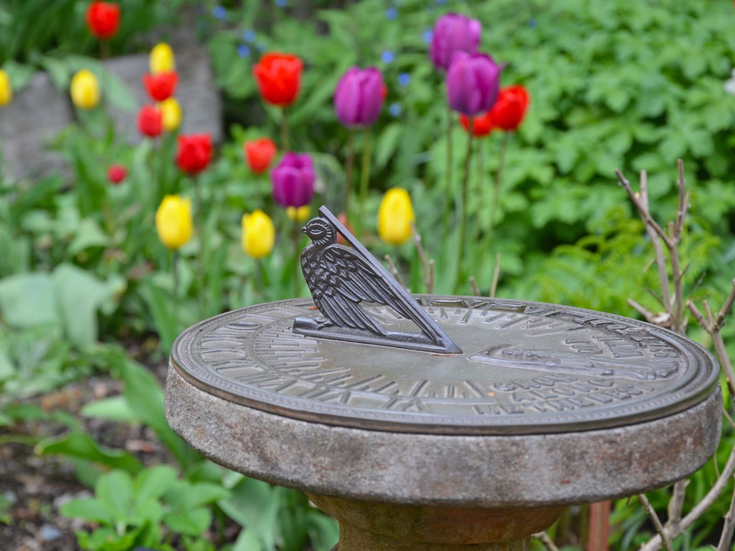 decorative sundial among tulips and garden greenery