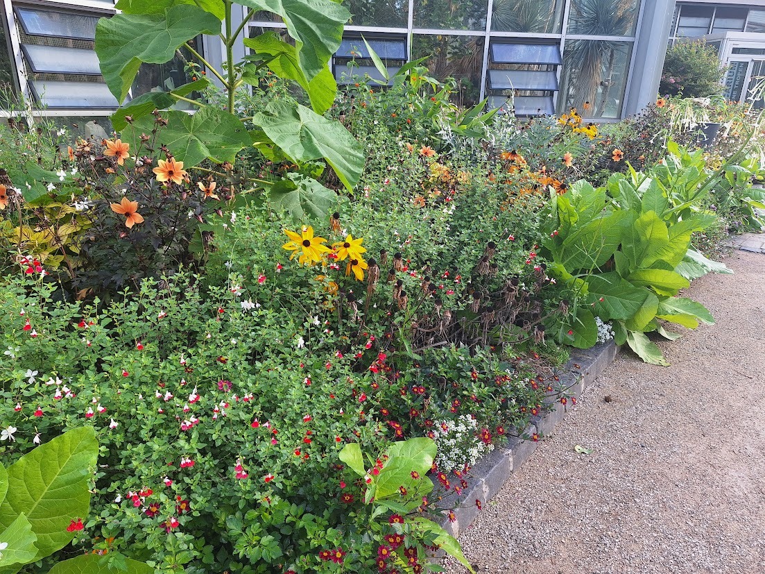 a beautiful border with a lot of different plants and flowers