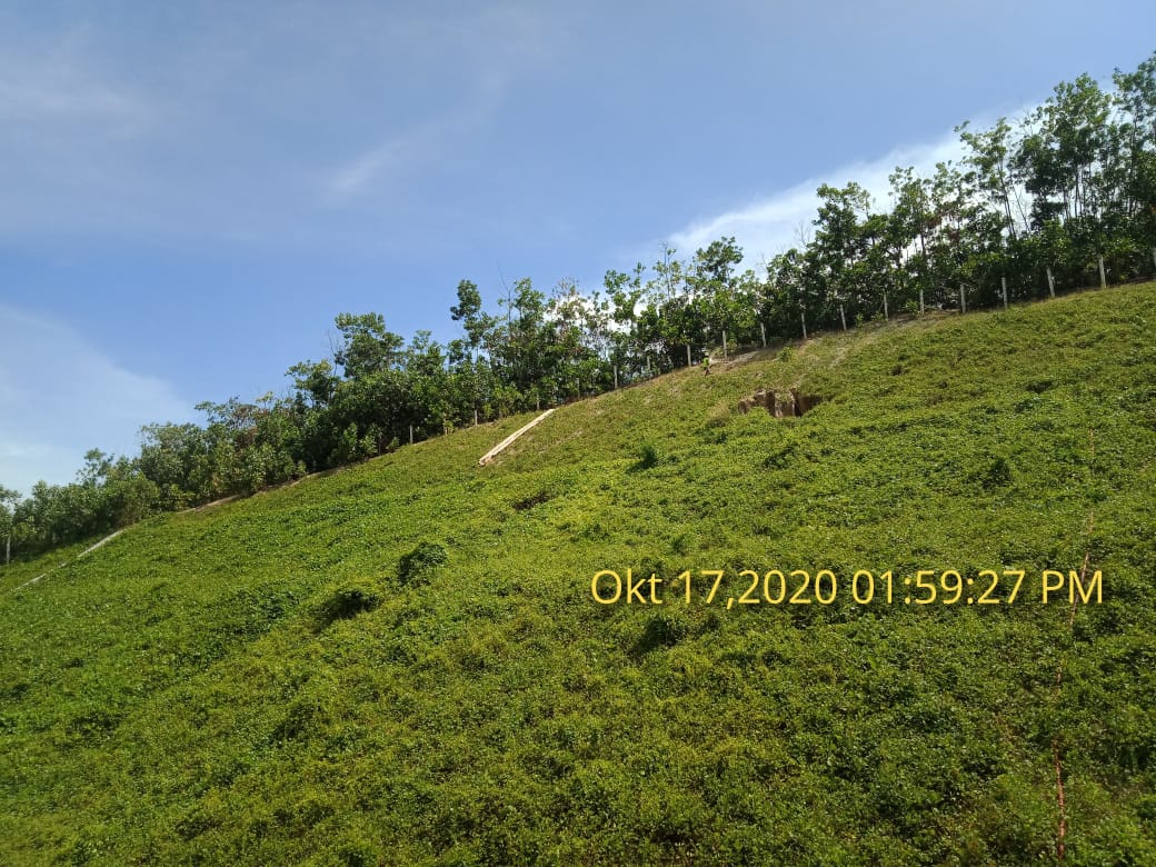 Hydroseeding process