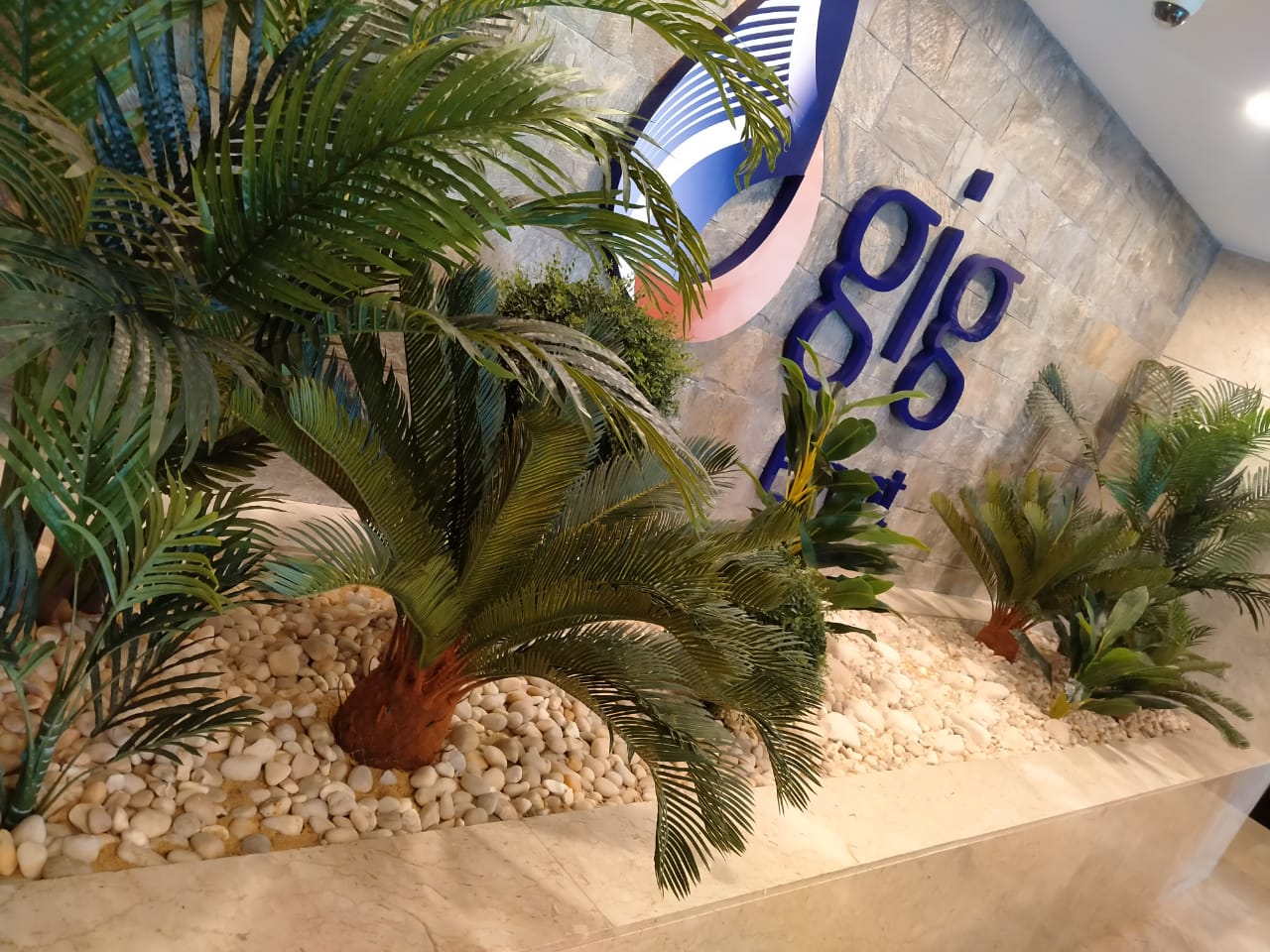 New Green Touch specializes in tailored landscaping services and indoor plant maintenance services f