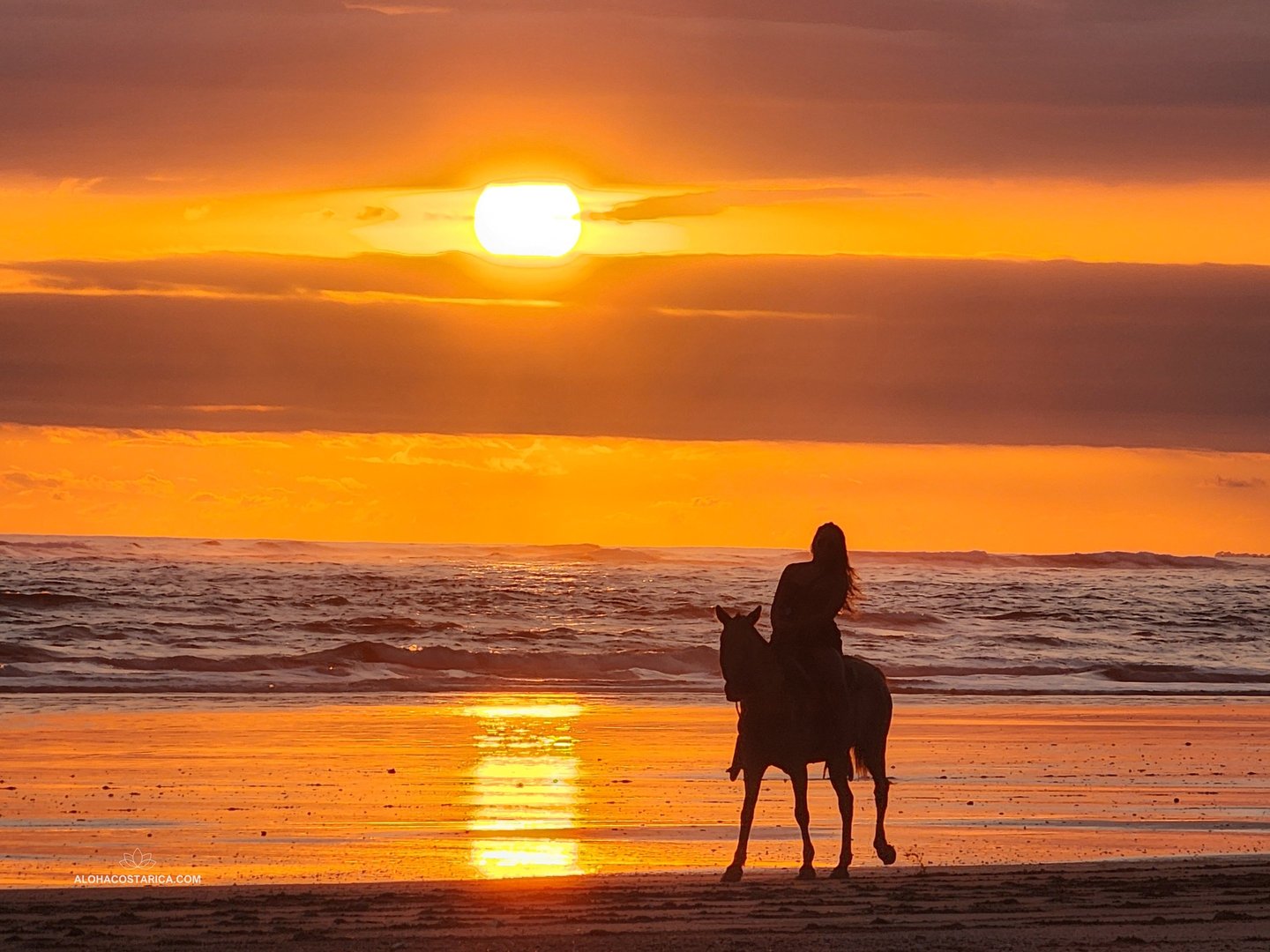 horseback riding in Santa Teresa Beach